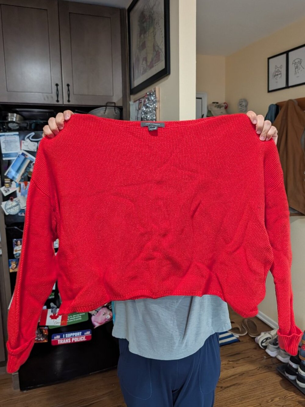 French Connection Red Mozart Cropped Waffle Knit Sweater Large